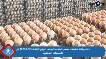 «تحديثات مهمة» سعر كرتونة البيض اليوم الثلاثاء 12-8-2025 في الأسواق المحلية